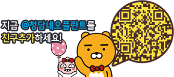 카카오톡이미지